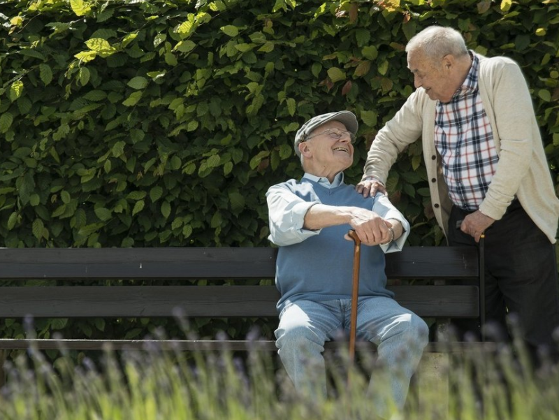 “故人”是什么意思？