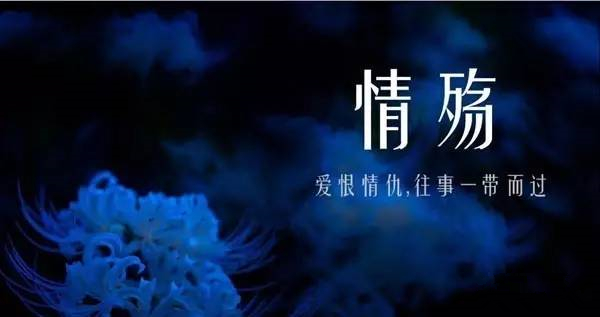 情伤和情殇 有什么区别