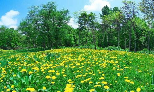 一年二十四个季节分别是什么？