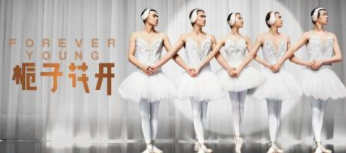 电影《栀子花开》的结局和主要内容，详细点