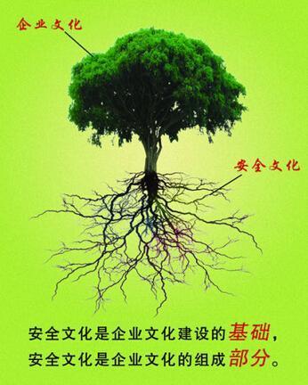 什么是安全文化？