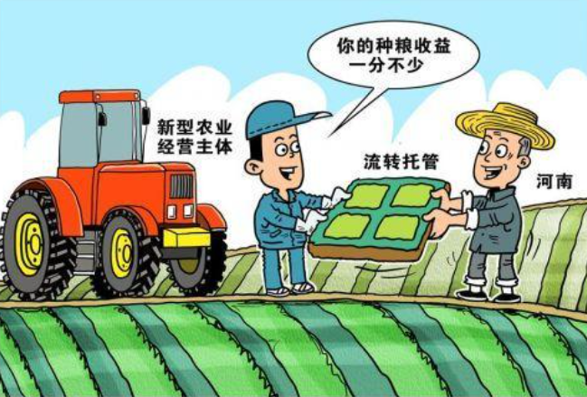 新型农业经营主体什么?