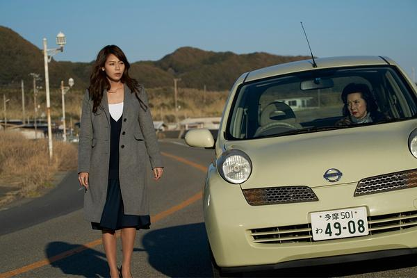 玻璃芦苇简介是什么?