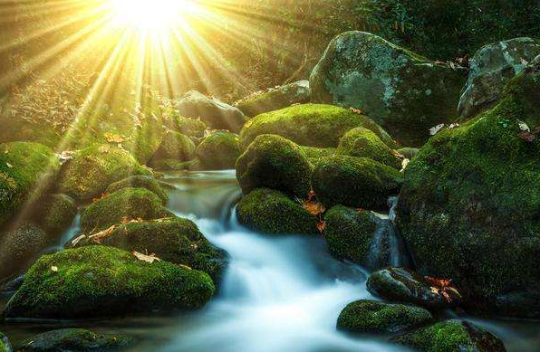 艳阳高照下一句是什么?