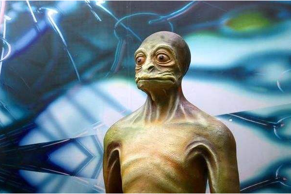 莱瑟塔档案真实性有多少?