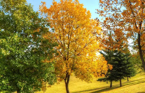 形容秋天的四字词语