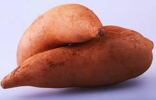 经常吃地参果的话，对身体都有哪些好处？