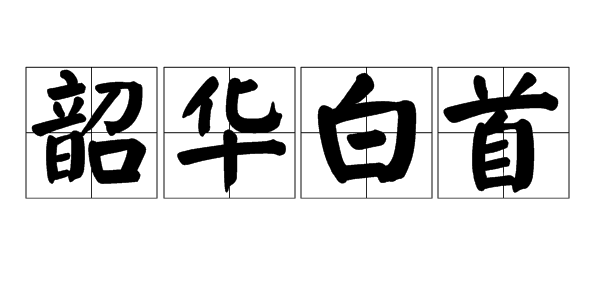 韶华白首 是什么意思啊