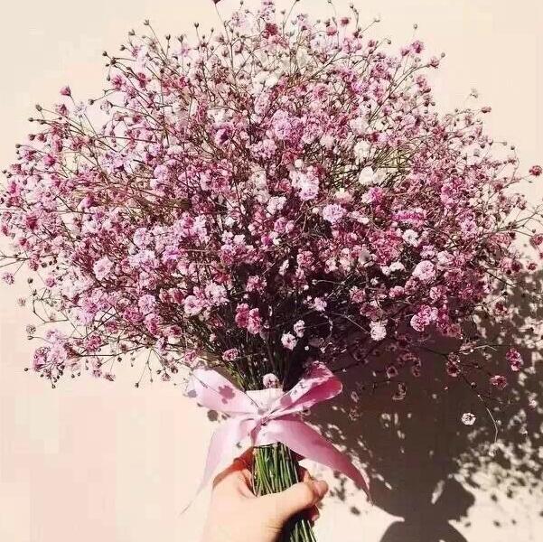 满天星适合送什么人？