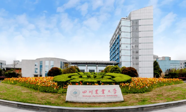 2022全国大学专业排名一览表