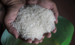 有机米和普通的大米,有什么区别呢?