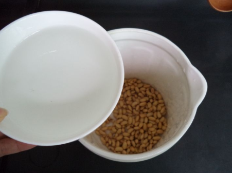 什么是豆奶？具体怎么做的？