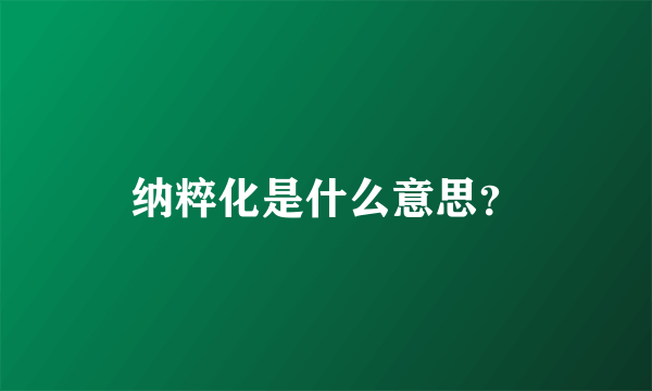 纳粹化是什么意思？