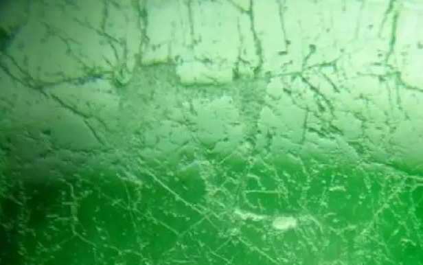 如何辨别翡翠的真假?