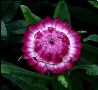 美的待遇怎么样啊(美的年薪60万以上的职位)