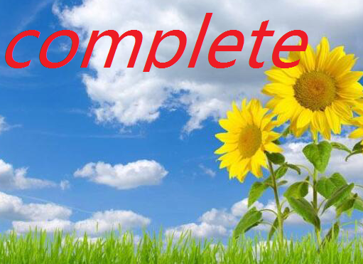 complete是什么意思啊