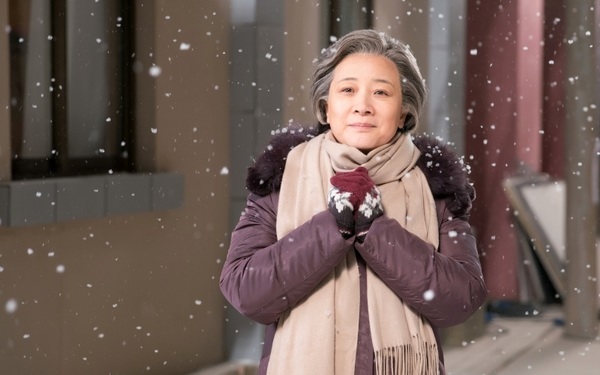 姥姥的饺子馆的剧情介绍?