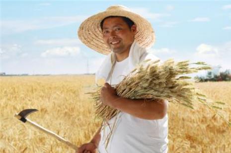 那个称我国农民无用的专家王福重,受到很多人的批评,结果如何?