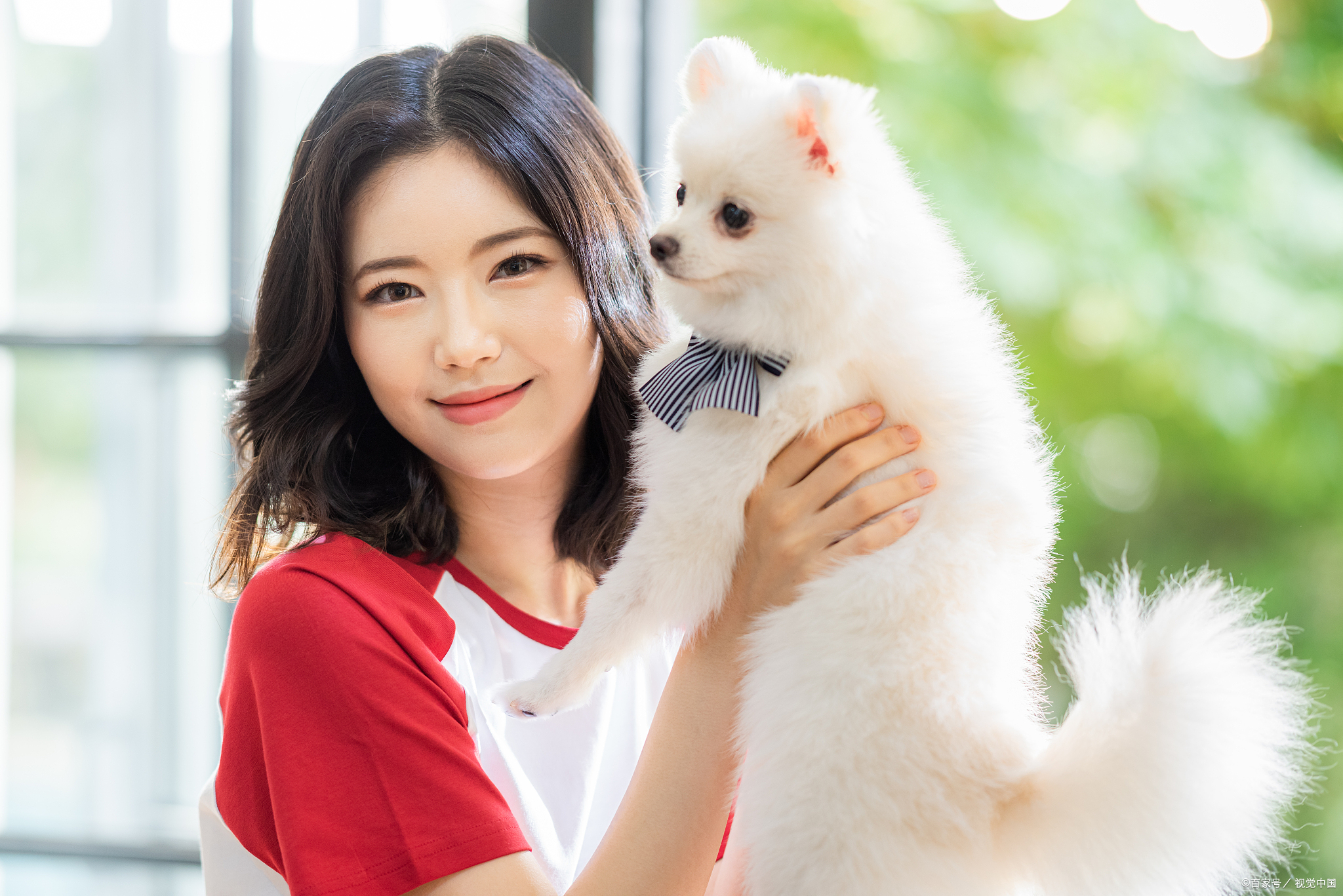 可以讲讲关于宠物球虫疫苗的一些注意事项吗?