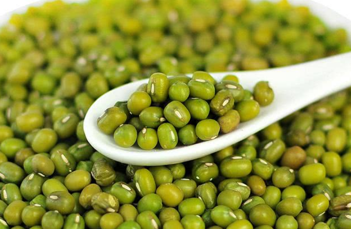 被称“中国食疗第一人”的张悟本,挂号费2000元,如今现状如何?