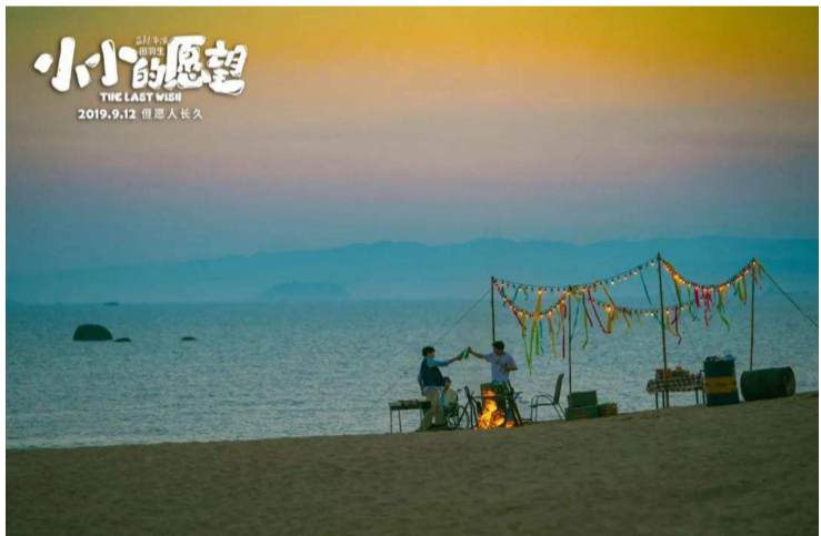 如何评价电影《小小的愿望》?