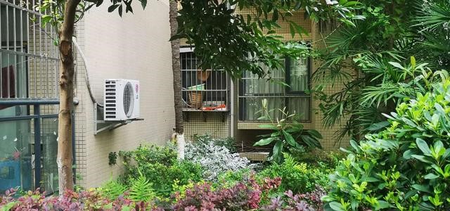 四川一小区绿化带发现男尸床上非常凌乱?死前经历了什么?