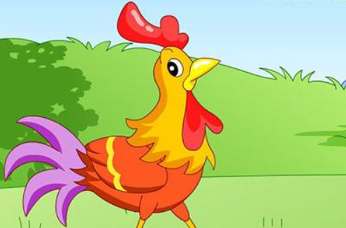 爱吹牛的小公鸡的作文300字