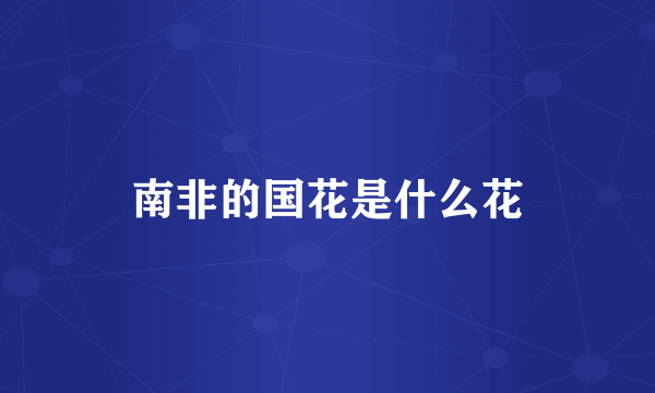 南非的国花是什么花