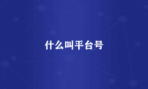 什么叫平台号