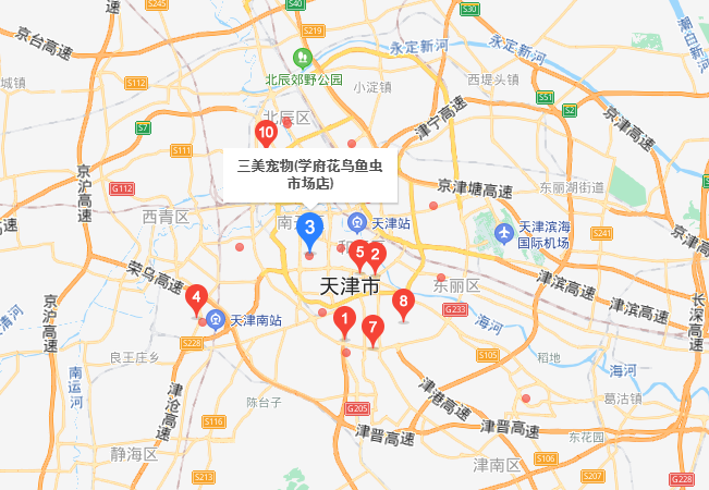 天津市内哪里有宠物市场?