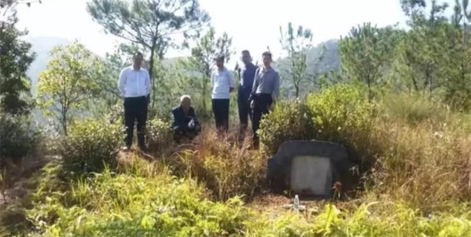 坟上长树好不好？有什么说法吗？