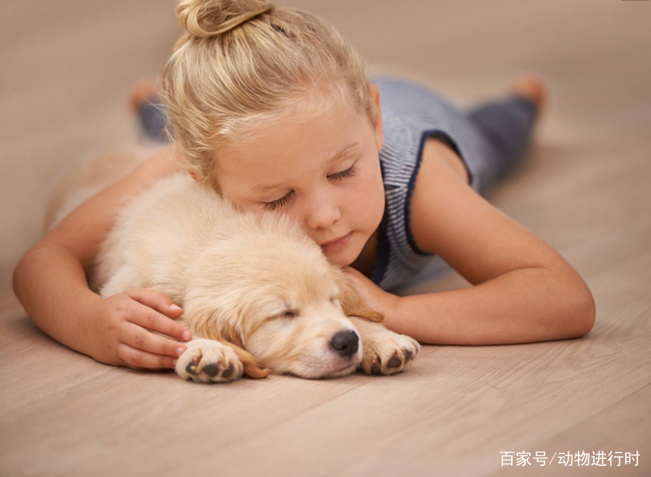 宠物狗可以和人在一起睡觉吗?