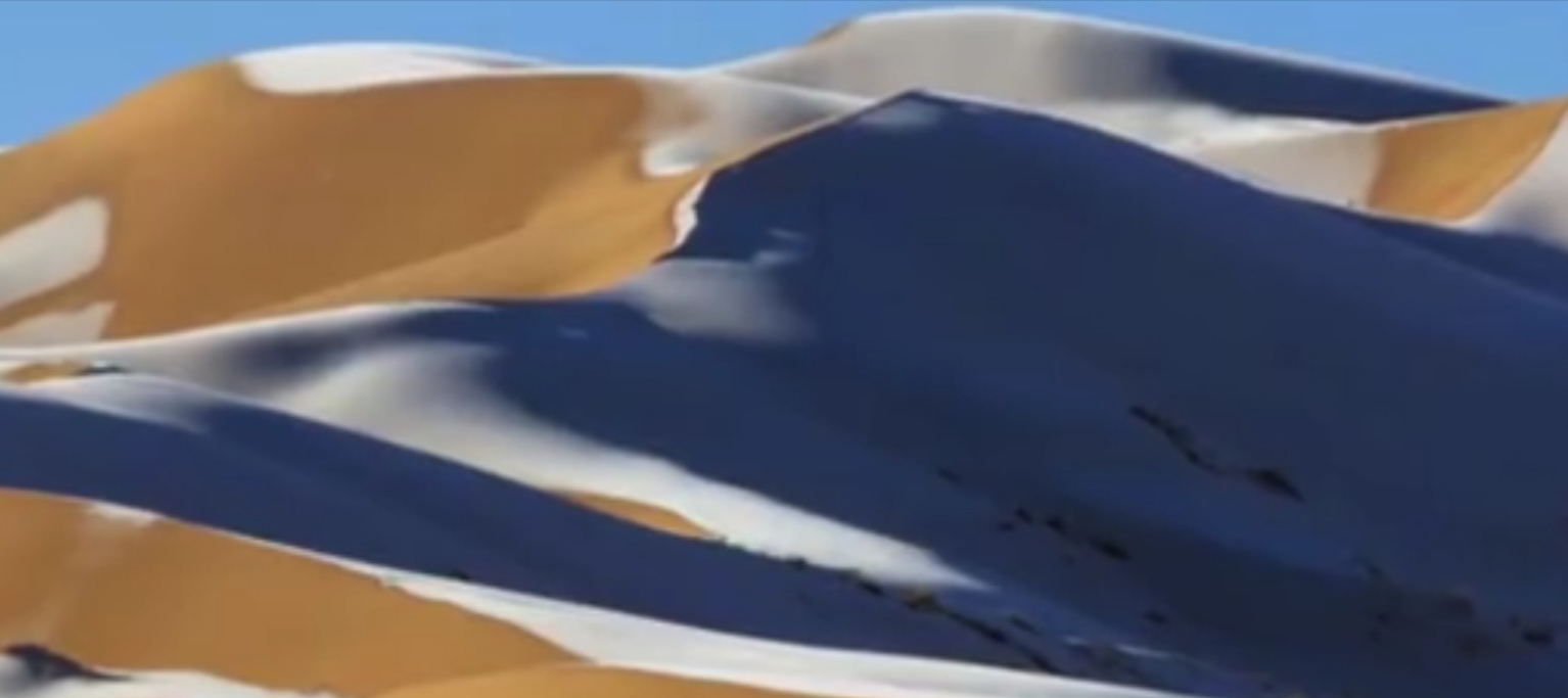 骆驼在撒哈拉沙漠雪中漫步，这个画面让你联想到了什么？