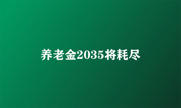 养老金2035将耗尽