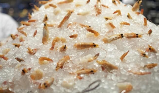 关于永辉超市工作人员用脚踩冷冻鱼虾一事，你有何看法？