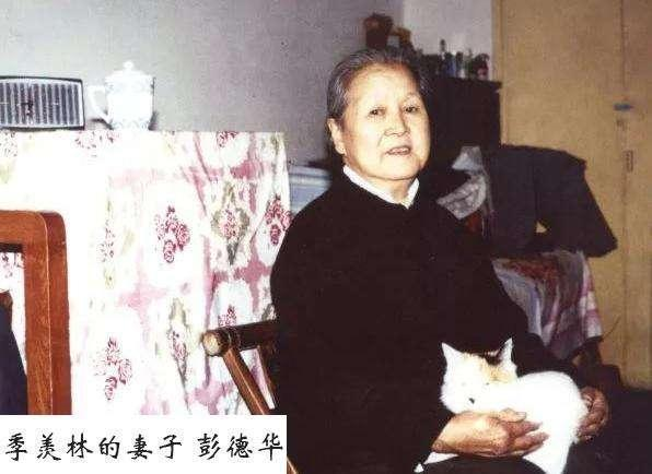 季羡林有哪些故事?