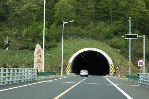 交警高速隧道抓了1小时兔子,这是怎么回事?