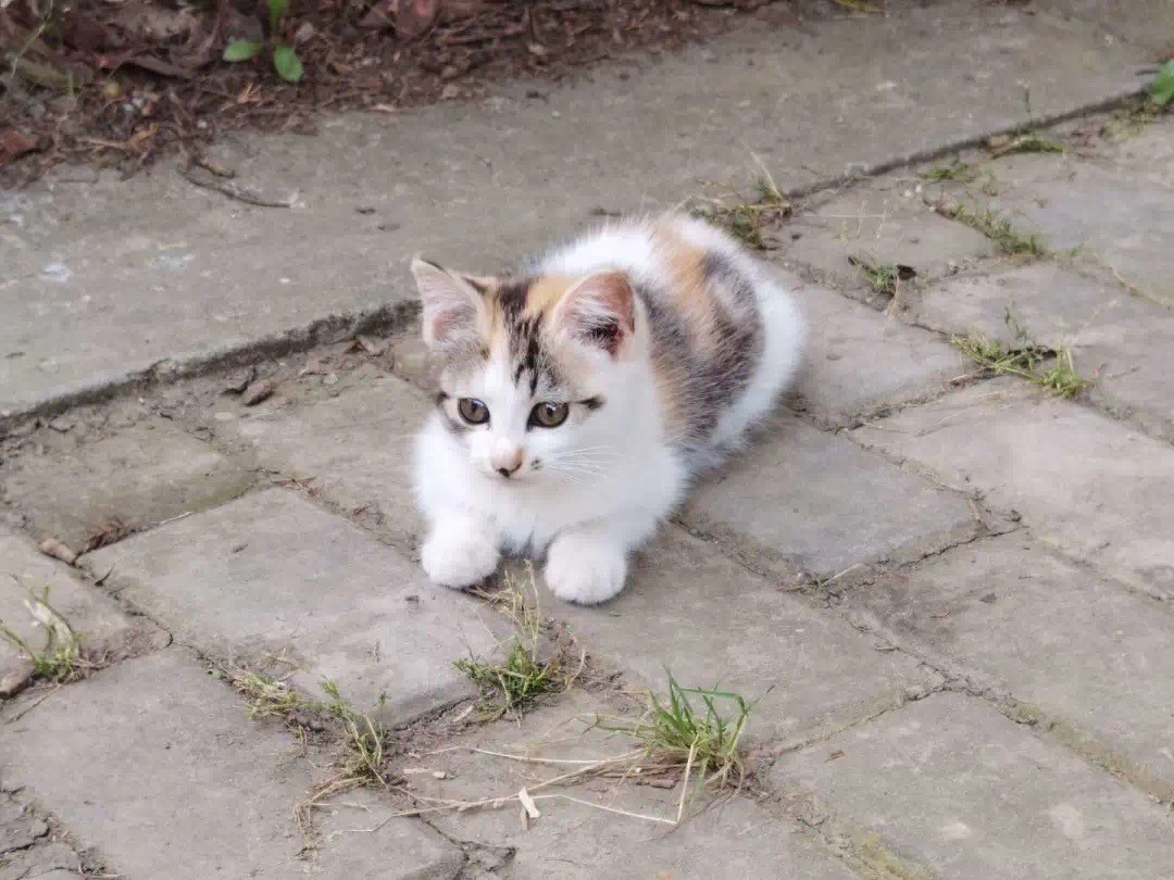 苏州科技大学怎么样