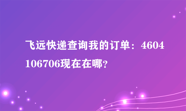 飞远快递查询我的订单：4604106706现在在哪？