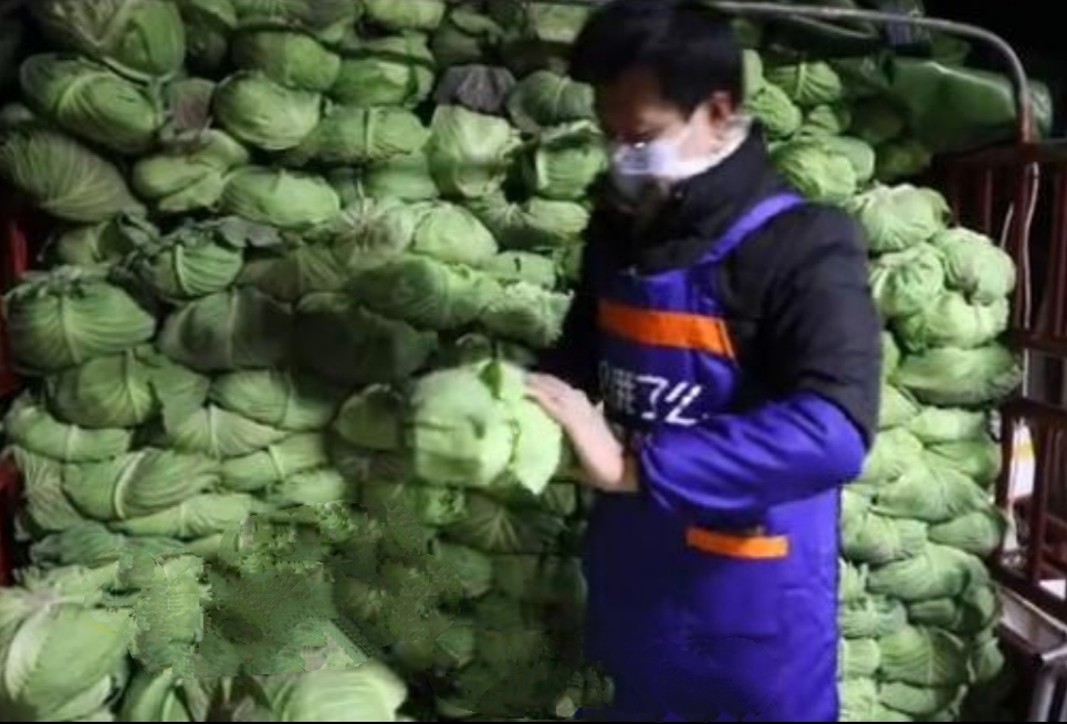 37岁的毕业大学生回家继承父辈菜摊年入百万,他能成功的主要原因是什么?