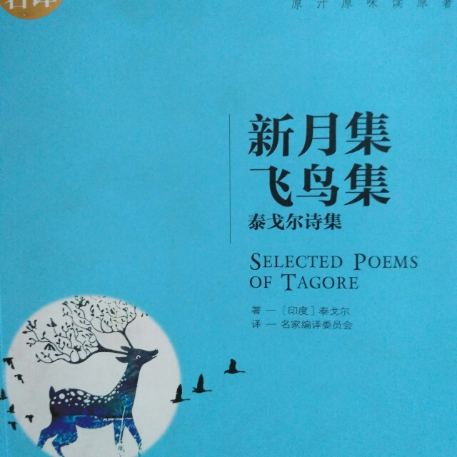 泰戈尔的《纸船》赏析