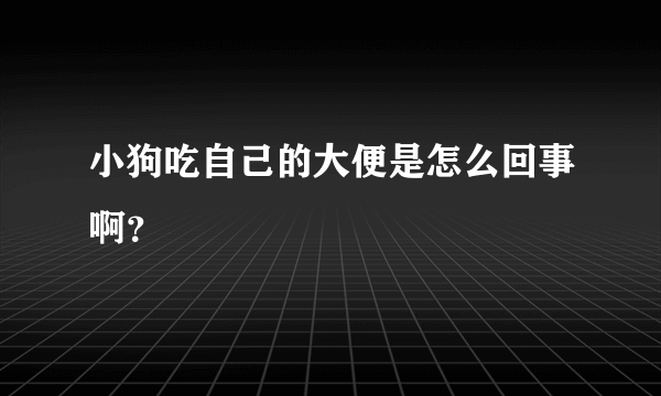 小狗吃自己的大便是怎么回事啊？