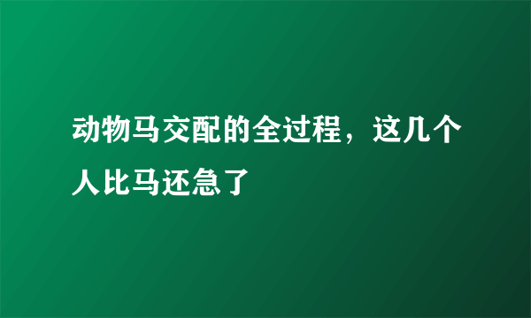 动物马交配的全过程，这几个人比马还急了