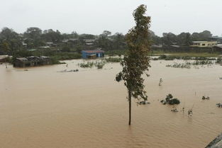 洪峰将在2至3天内抵达武汉,如何提前做好防洪准备?