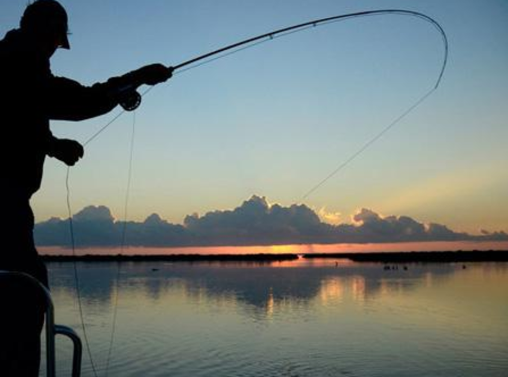 某网红不慎触电身亡，事发时的具体情况是怎样的？