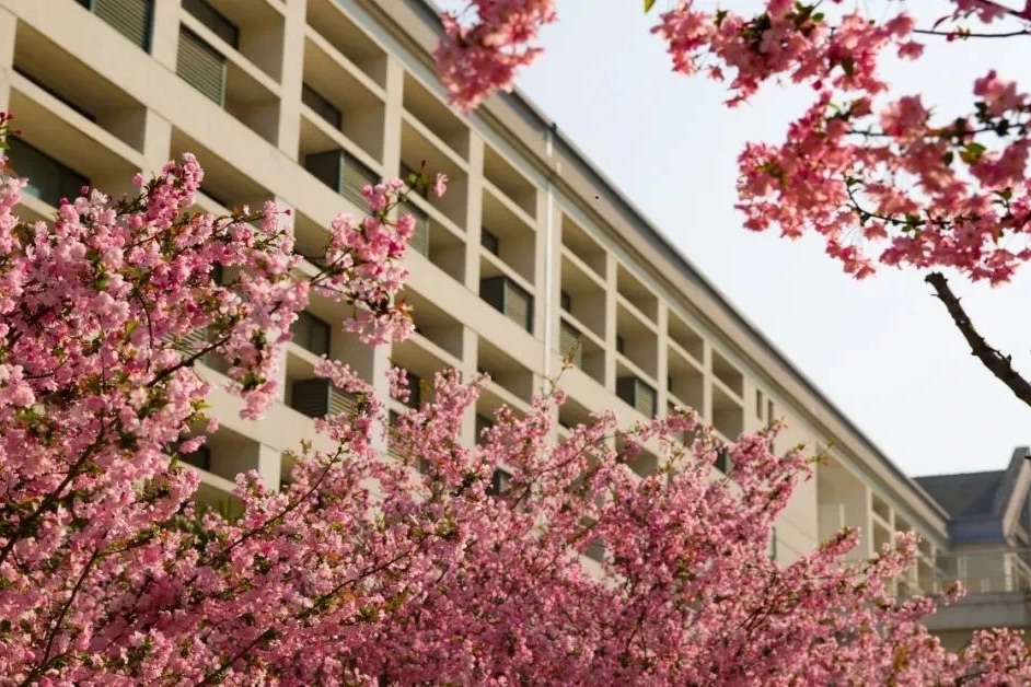 苏州科技大学怎么样