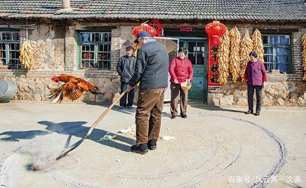 二月二下雨有什么典故吗?