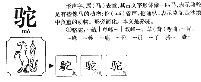 驼字的组词有什么?
