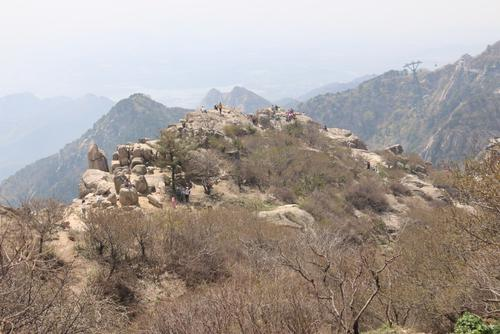 一游客爬上日观峰遭其他游客怒骂,针对这一行为景区是否有作处罚?