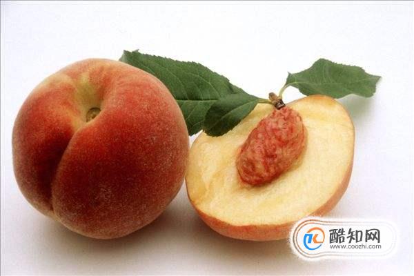 植物传播种子的方法都有哪些?